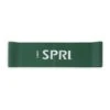 SPRI Flat Loop Light Resistance Band Green